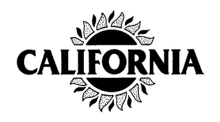 CALIFORNIA logo