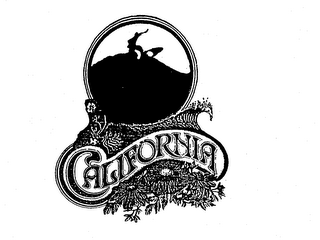 CALIFORNIA logo