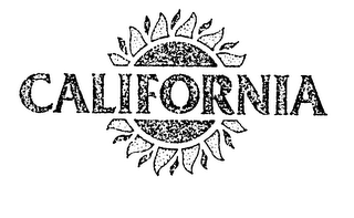 CALIFORNIA logo