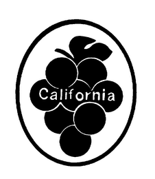 CALIFORNIA logo