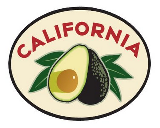 CALIFORNIA logo