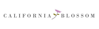 CALIFORNIA BLOSSOM logo