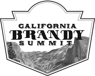CALIFORNIA BRANDY SUMMIT logo
