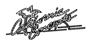 CALIFORNIA CONCEPTS logo