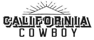 CALIFORNIA COWBOY logo