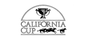 CALIFORNIA CUP logo