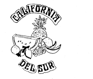 CALIFORNIA DEL SUR logo