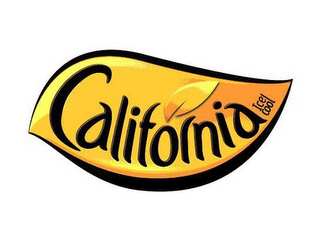 CALIFORNIA ICE COOL logo