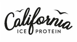 CALIFORNIA ICE PROTEIN logo