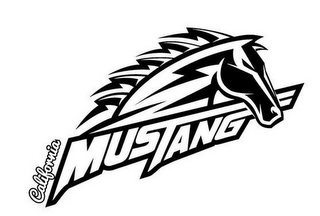 CALIFORNIA MUSTANG logo