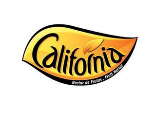 CALIFORNIA NECTAR DE FRUTAS. FRUIT NECTAR logo