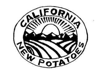 CALIFORNIA NEW POTATOES logo