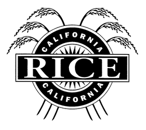 CALIFORNIA RICE logo