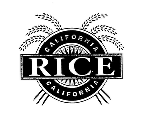 CALIFORNIA RICE CALIFORNIA logo