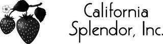 CALIFORNIA SPLENDOR, INC. logo