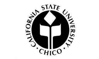 CALIFORNIA STATE UNIVERSITY CHICO logo