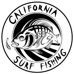 CALIFORNIA SURF FISHING CSF logo