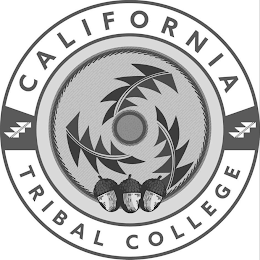 CALIFORNIA TRIBAL COLLEGE logo