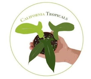 CALIFORNIA TROPICALS logo