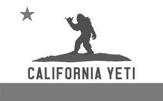 CALIFORNIA YETI logo