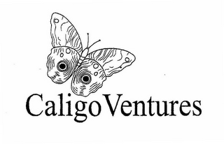 CALIGO VENTURES logo
