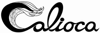CALIOCA logo