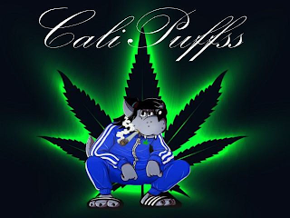 CALIPUFFSS logo