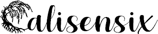 CALISENSIX logo