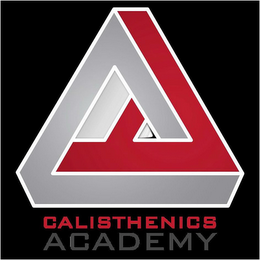 CALISTHENICS ACADEMY logo