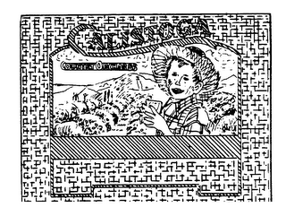 CALISTOGA COUNTRY ORCHARDS logo
