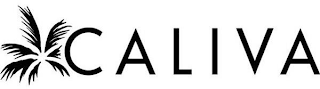 CALIVA logo