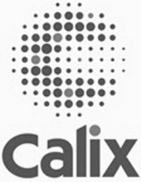 CALIX logo