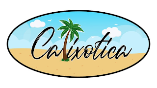 CALIXOTICA logo