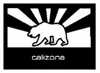CALIZONA logo