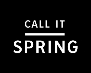 CALL IT SPRING logo