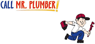 CALL MR. PLUMBER! logo