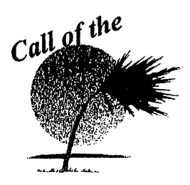 CALL OF THE WIND logo