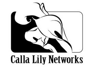 CALLA LILY NETWORKS logo