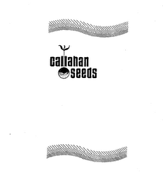 CALLAHAN SEEDS logo
