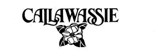 CALLAWASSIE logo