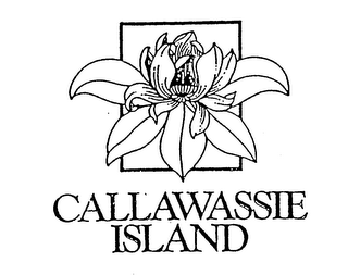 CALLAWASSIE ISLAND logo