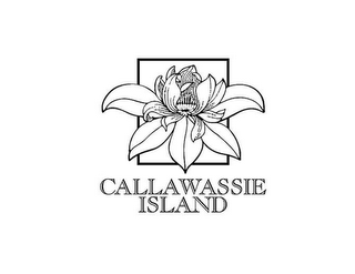 CALLAWASSIE ISLAND logo