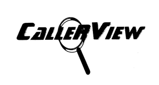 CALLER VIEW logo