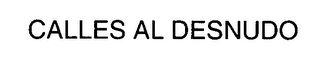 CALLES AL DESNUDO logo