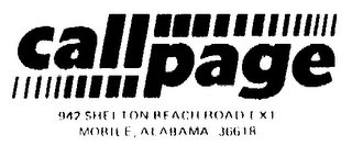 CALLPAGE logo