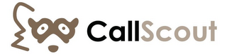 CALLSCOUT logo