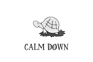 CALM DOWN logo