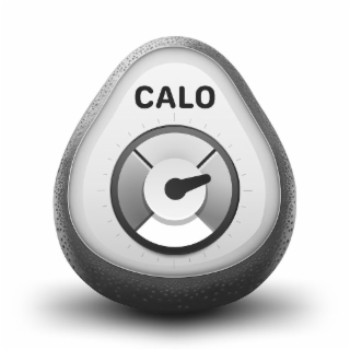 CALO logo