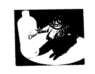 CALORAD logo