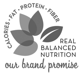CALORIES · FAT · PROTEIN · FIBER REAL BALANCED NUTRITION OUR BRAND PROMISE logo